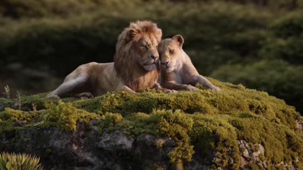 Image result for the lion king 2019 movie pics