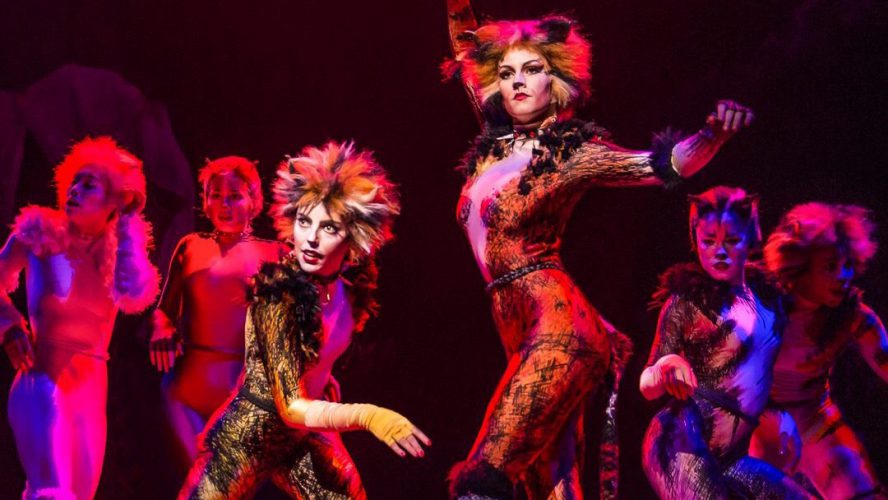 cats international tour cast