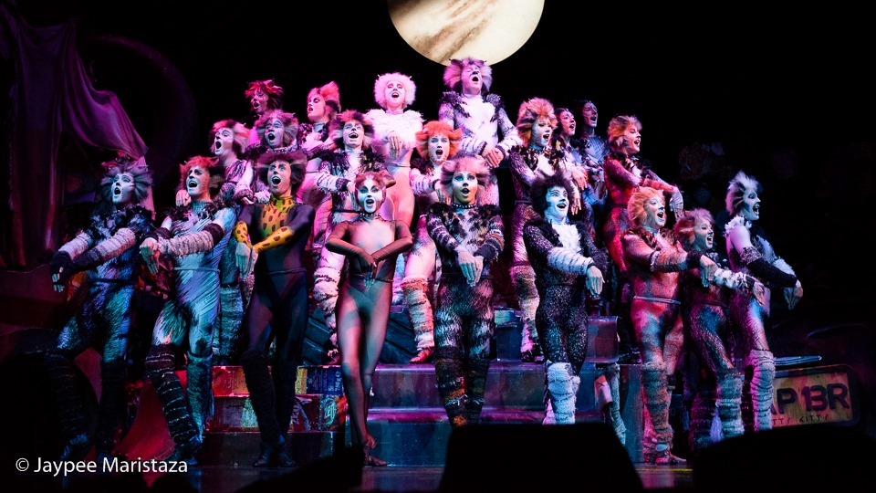 Live Theatre Review: CATS THE MUSICAL - Nightmarish Conjurings