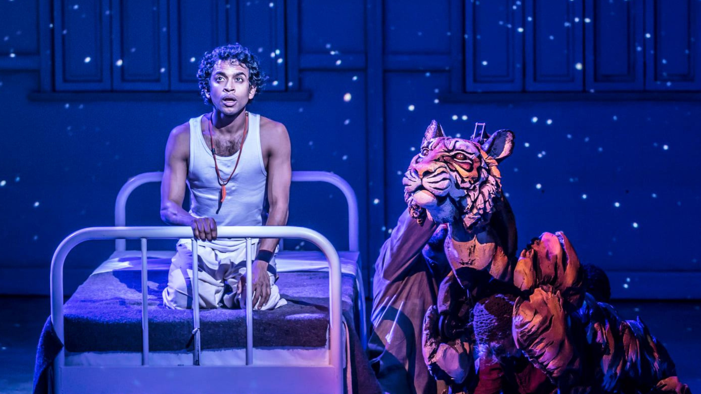 ‘Life of Pi’ Stage Adaptation Headed for Broadway