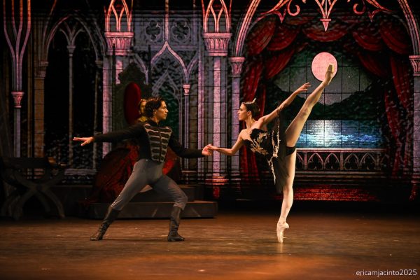 Swan Lake