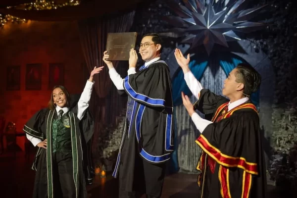 Harry Potter: A Yule Ball Celebration