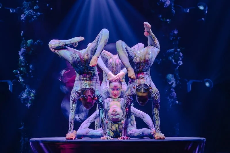 Cirque Alice